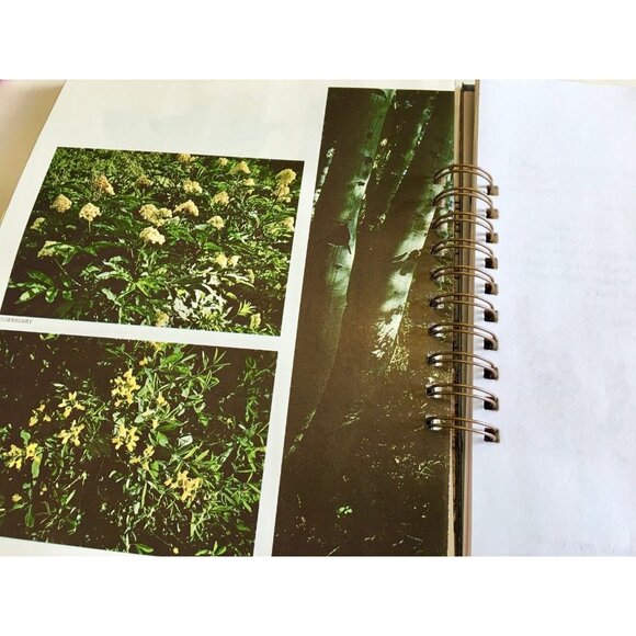 Blank Art Junk Journal Spiral Bound Vintage Mixed Page u Smash Book Canyons and - Picture 8 of 11